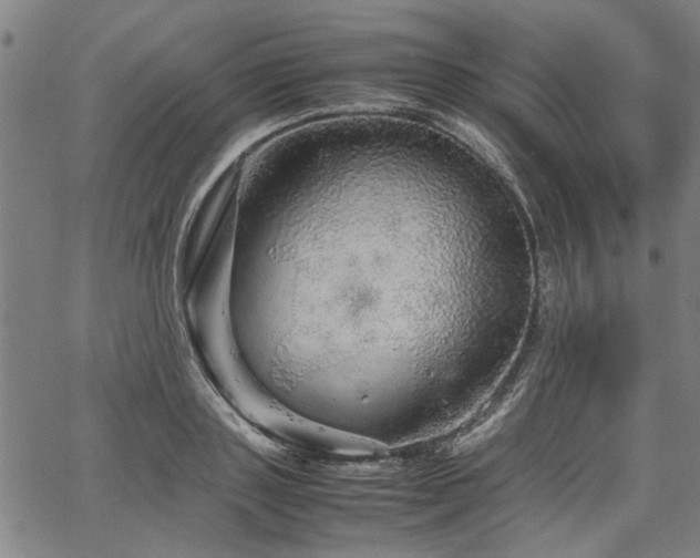 X0000067480843200604071137