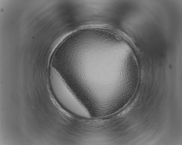 X0000067480844200604071137