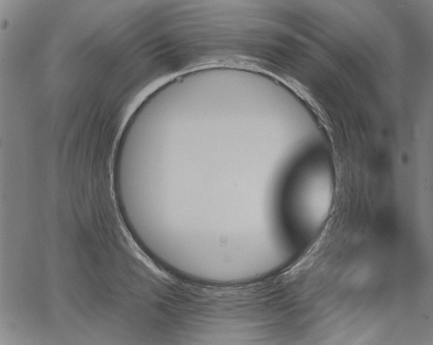 X0000067480846200604071137