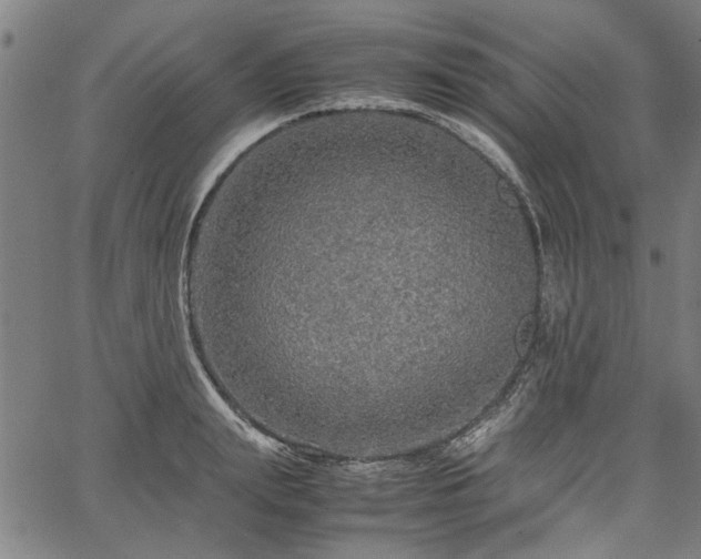 X0000067480847200604071137