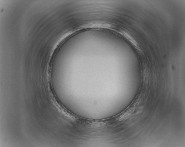 X0000067480848200604071137