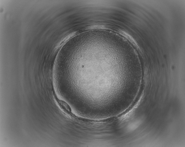 X0000067480849200604071137