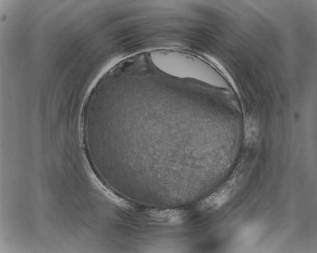 X0000067480851200604071137