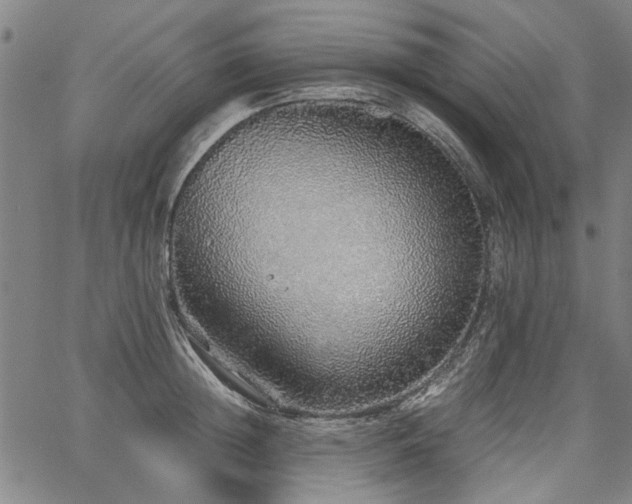 X0000067480852200604071137