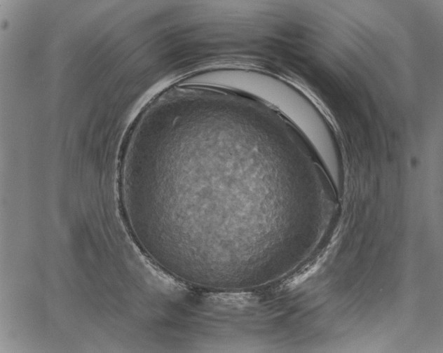 X0000067480853200604071137