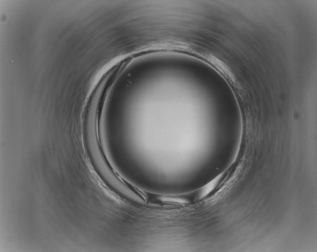 X0000067480854200604071137