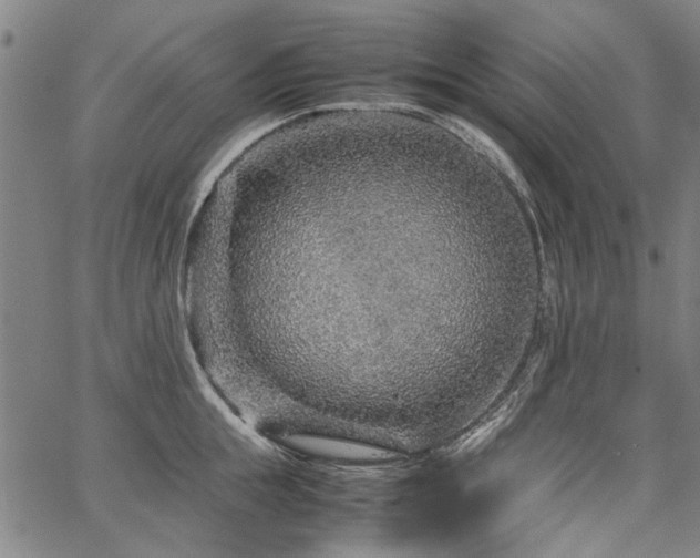 X0000067480855200604071137