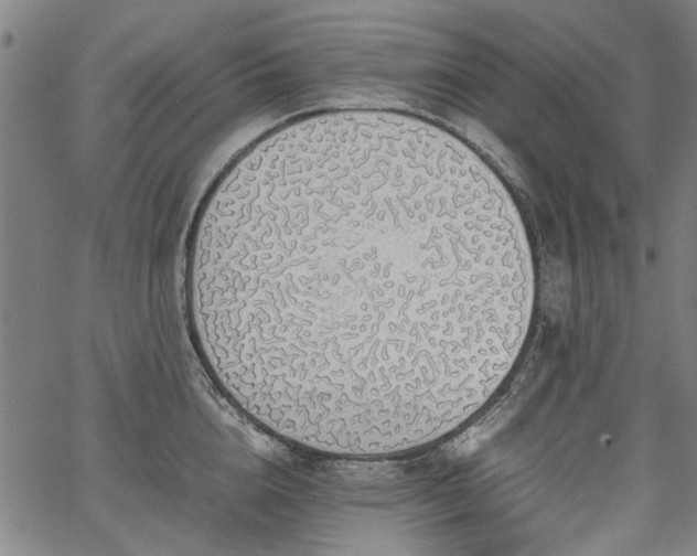 X0000067480856200604071137