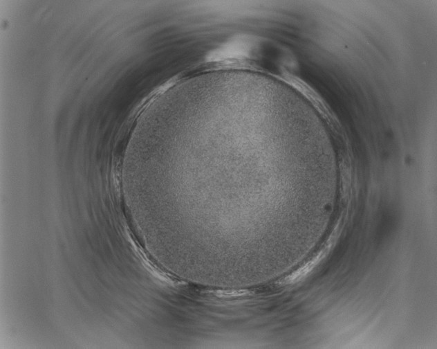 X0000067480857200604071137