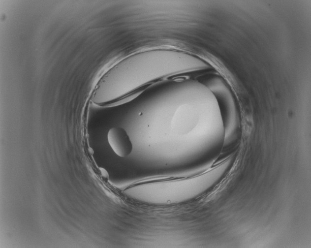 X0000067480858200604071137