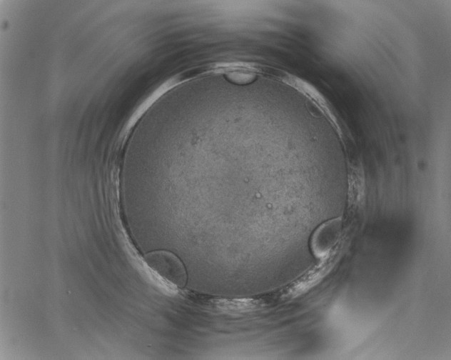 X0000067480859200604071137