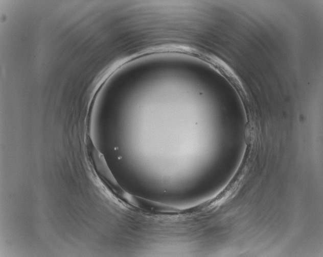 X0000067480860200604071137