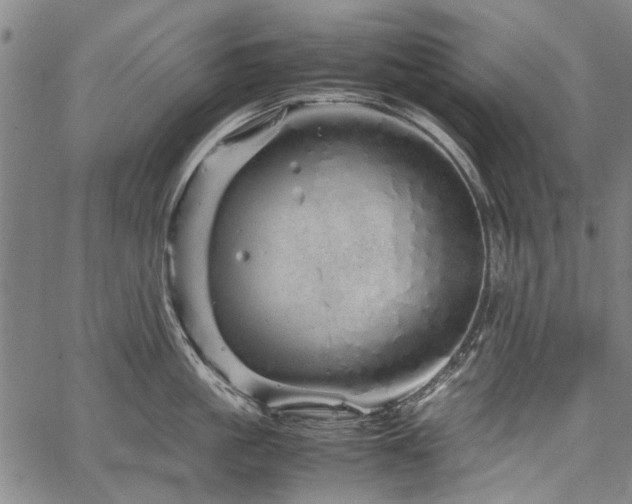 X0000067480861200604071137