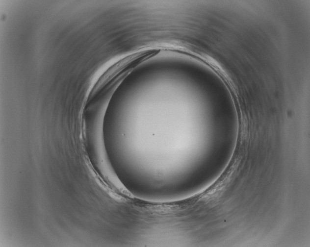 X0000067480862200604071137