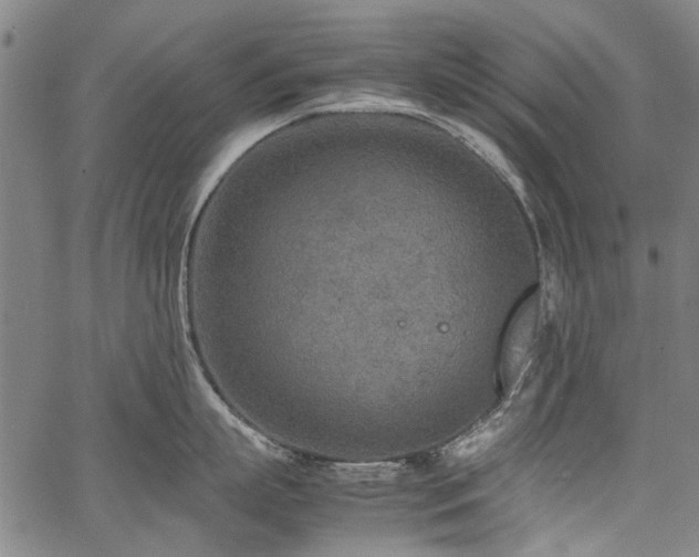 X0000067480863200604071137