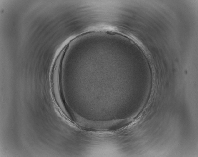 X0000067480864200604071137