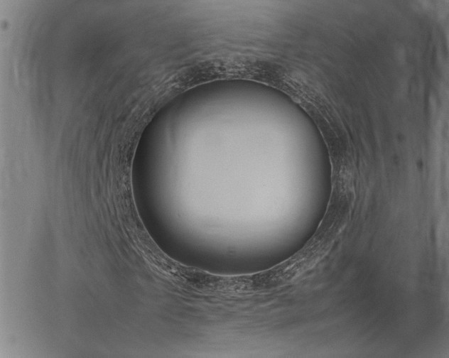 X0000067480865200604071136