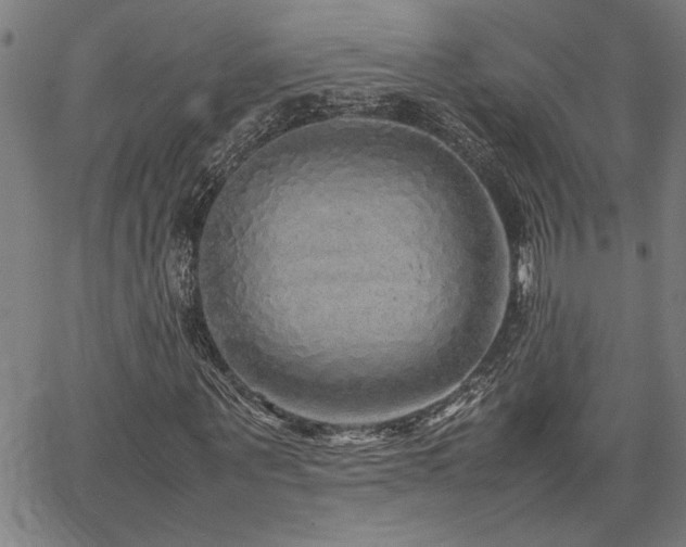 X0000067480867200604071136