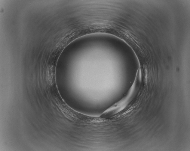 X0000067480868200604071136