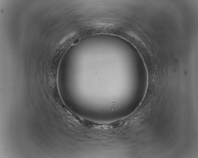 X0000067480869200604071136