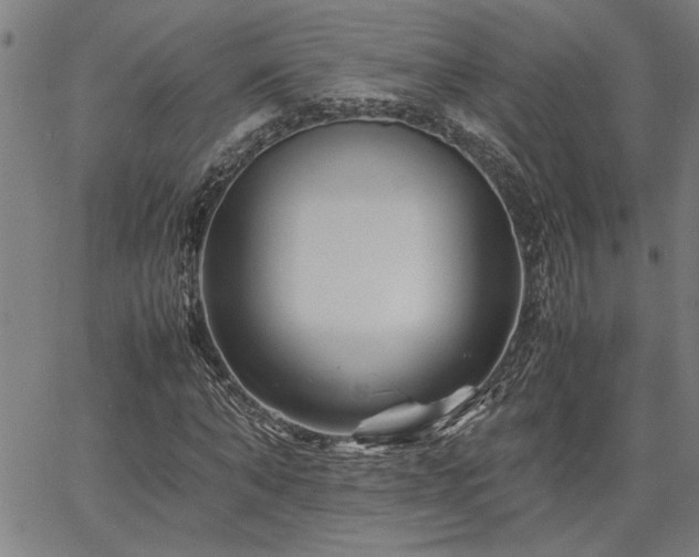 X0000067480870200604071136