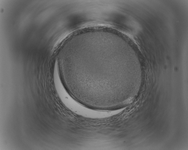 X0000067480871200604071136