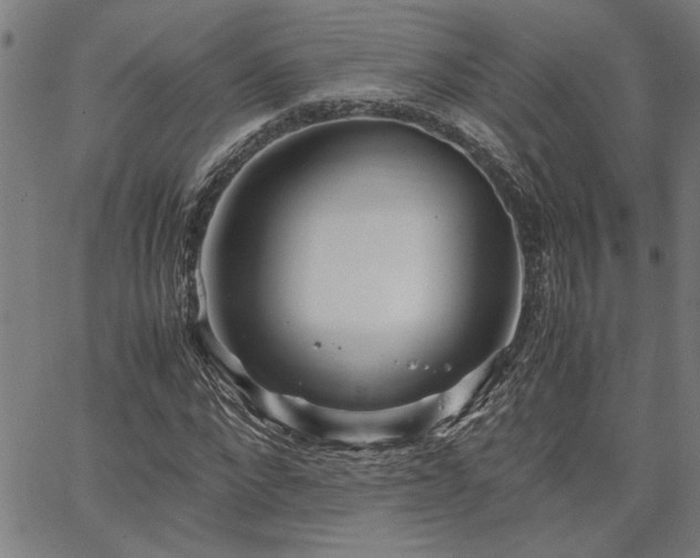 X0000067480872200604071136