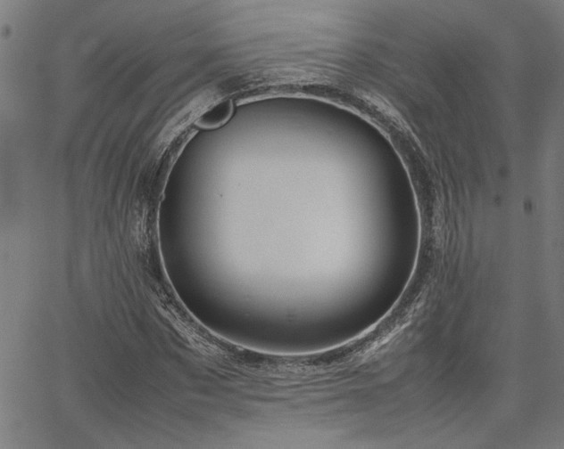 X0000067480873200604071136