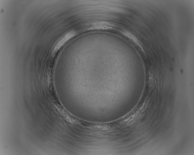 X0000067480874200604071136