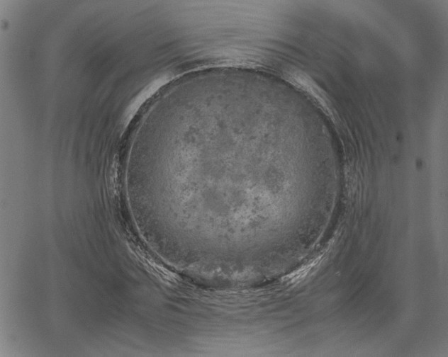 X0000067480875200604071136