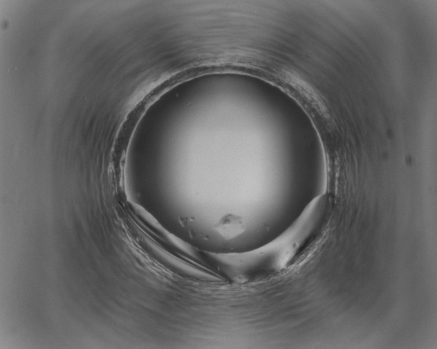 X0000067480876200604071136