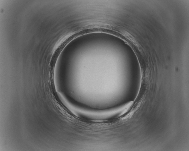 X0000067480877200604071136