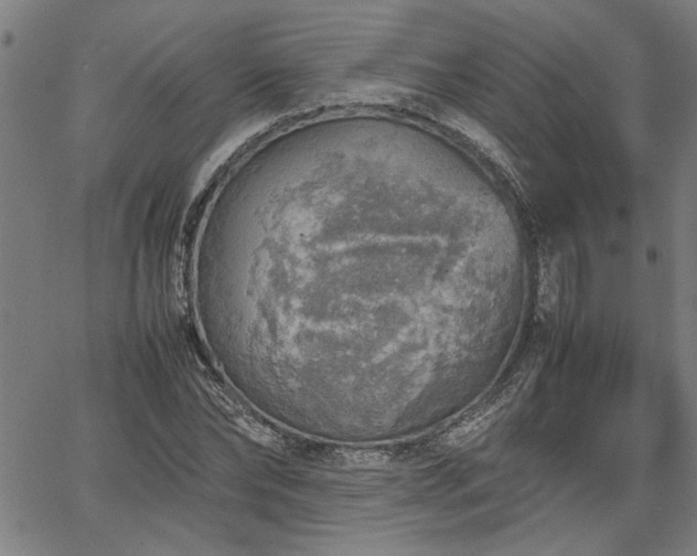 X0000067480878200604071136