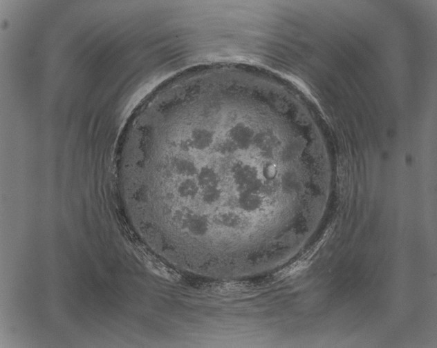 X0000067480879200604071136