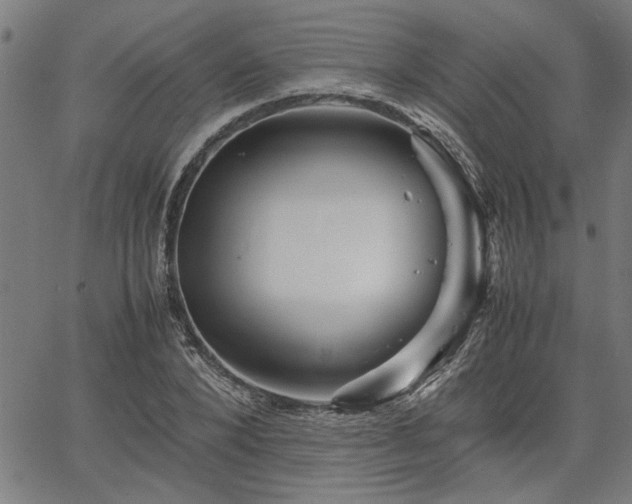 X0000067480880200604071136