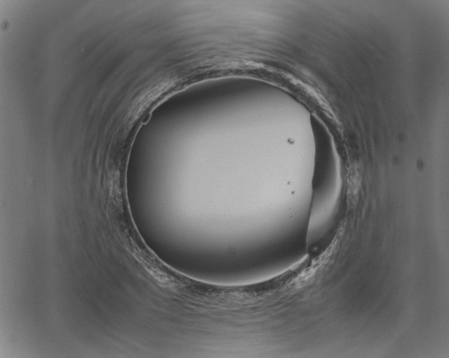 X0000067480881200604071136