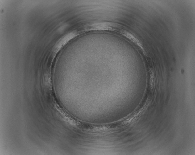 X0000067480882200604071136