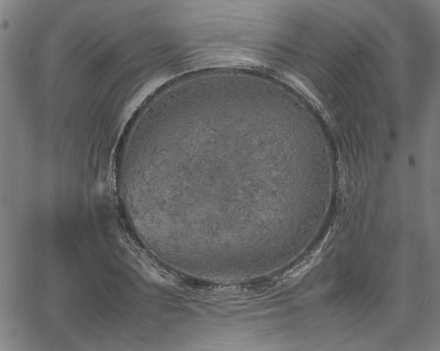 X0000067480883200604071136