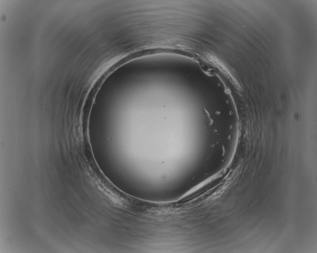 X0000067480884200604071136