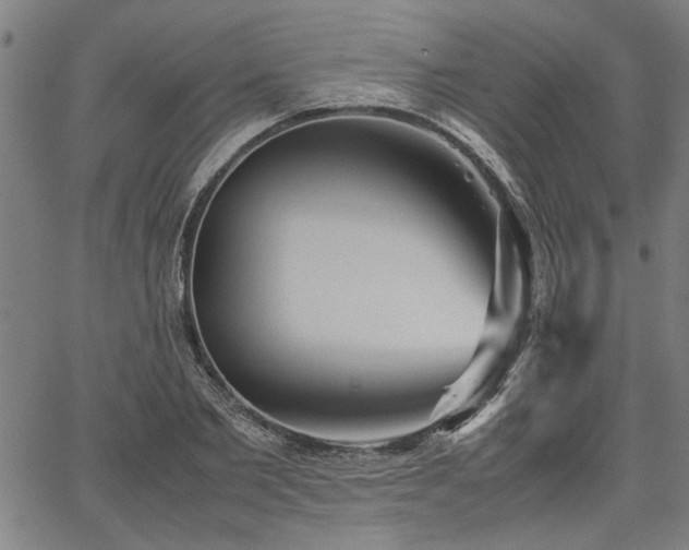 X0000067480885200604071136