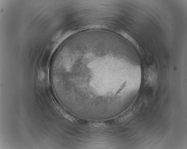 X0000067480886200604071136