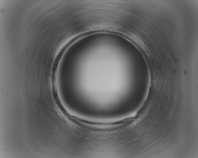 X0000067480888200604071136