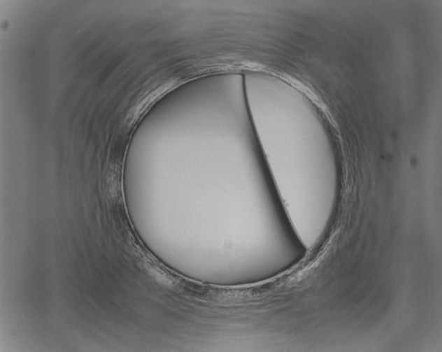 X0000067480889200604071136