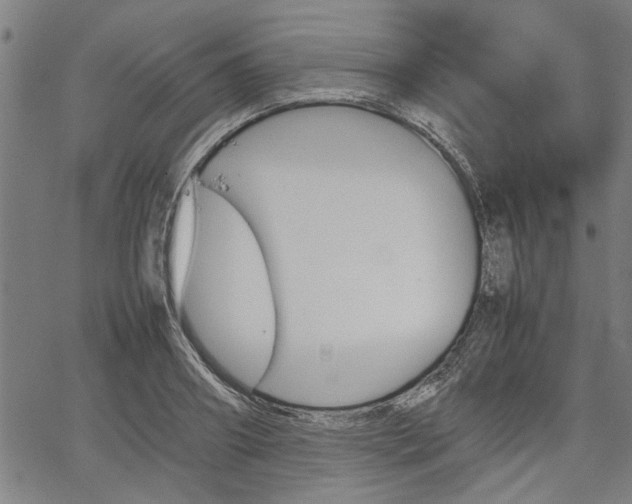 X0000067480890200604071136