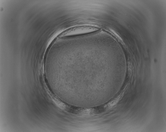 X0000067480891200604071136