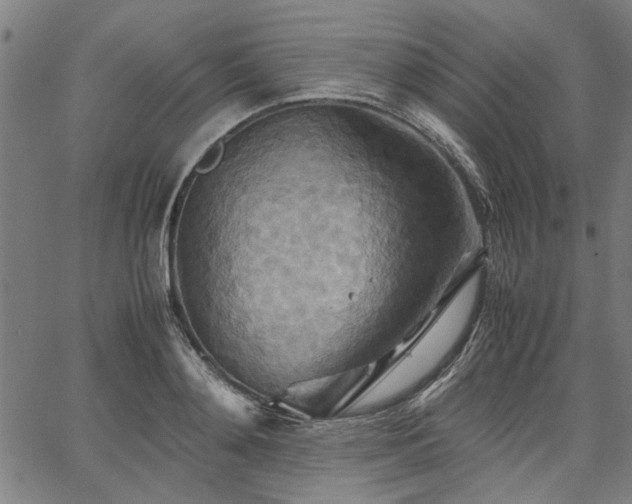 X0000067480892200604071136