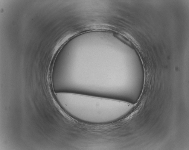 X0000067480893200604071136