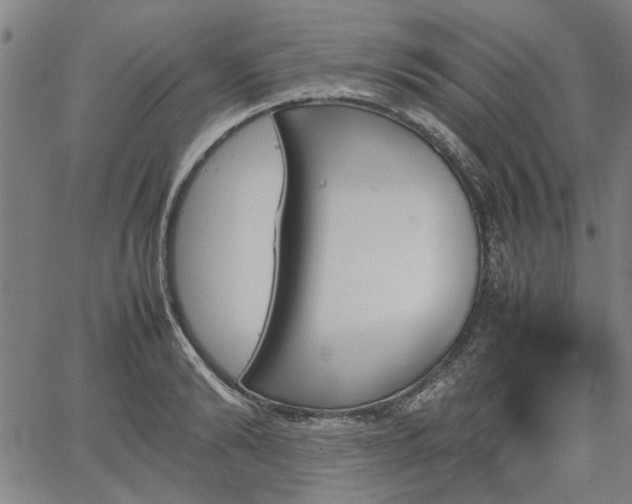 X0000067480894200604071136