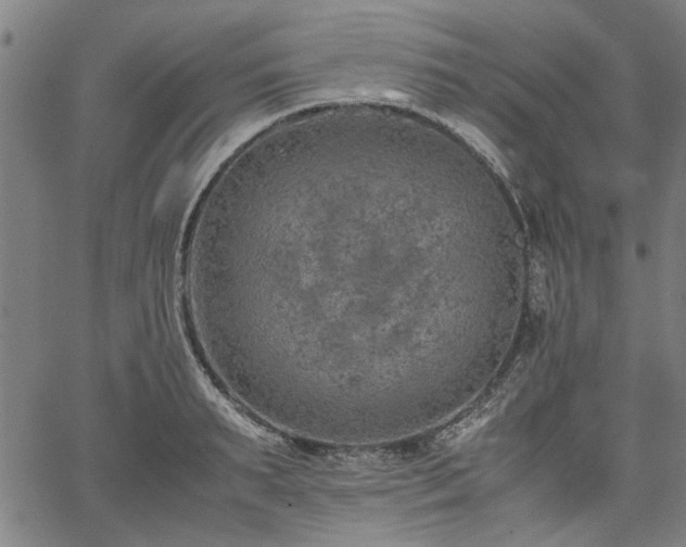 X0000067480895200604071136