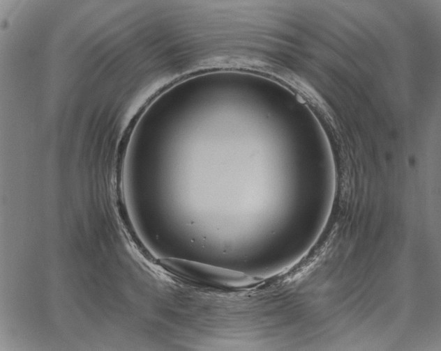 X0000067480896200604071136